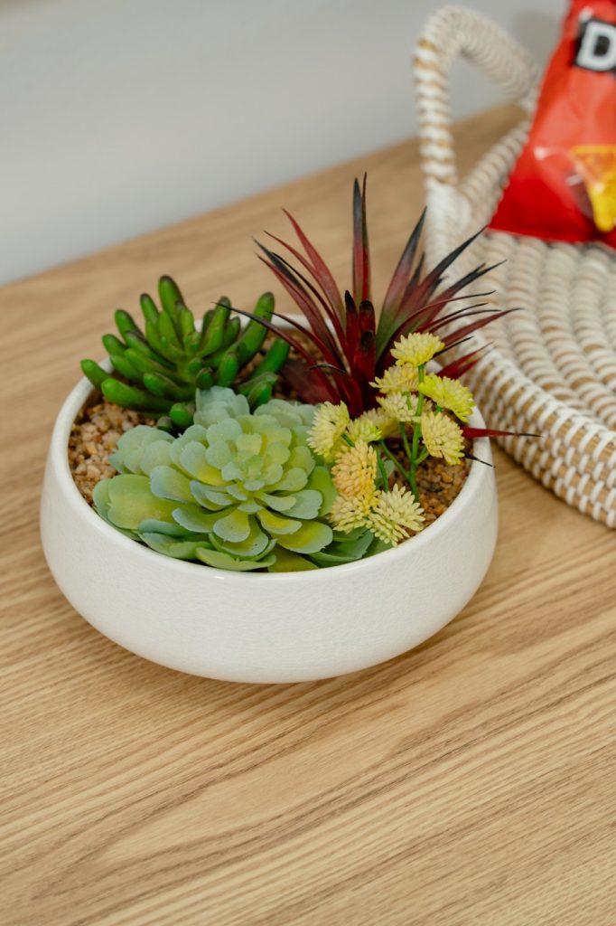 Succulent arrangement in a white pot on a wooden table, enhancing the inviting atmosphere of My Health Network's therapy rooms for health practitioners.